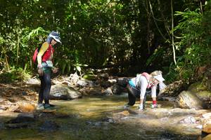 BIB: 
                            <button type="button" onclick="openModal(21853546)" class="btn btn-primary btn-sm float-right btn-popup" data-toggle="modal" data-target=".modal-high-quality">
                        <i class="fas fa-shopping-cart"></i> Add to Cart
                    </button>
                                            <button type="button" onclick="isThisMe(21853546, true)" class="btn btn-success btn-sm float-right btn-popup btn-isme hidden" data-toggle="tooltip" data-placement="bottom" title="นี่คือรูปของคุณใช่ไหม คลิกที่นี่เพื่อเอาเข้าอัลบั้ม">
                        <i class="fas fa-plus"></i> Add to album
                    </button>
                    <button type="button" onclick="isThisMe(21853546, false)" class="btn btn-warning btn-sm float-right btn-popup btn-isnotme hidden">
                        <i class="fas fa-ban"></i> Remove from album
                    </button>